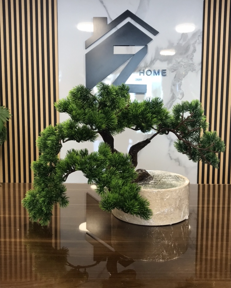 Bonzai tree